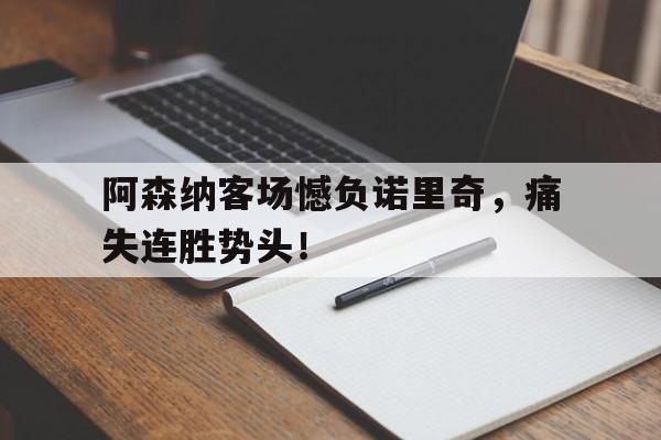 阿森纳客场憾负诺里奇，痛失连胜势头！
